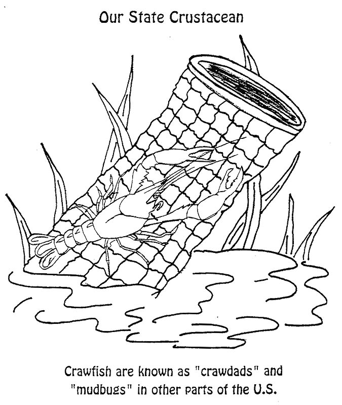 15 New Louisiana symbols coloring pages for Kids